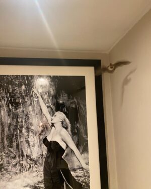 Natalie Holt Instagram - A bat (maybe it was a girl bat?) came into my room. Is it a sign?… I chose to release it into the world though! 🦇