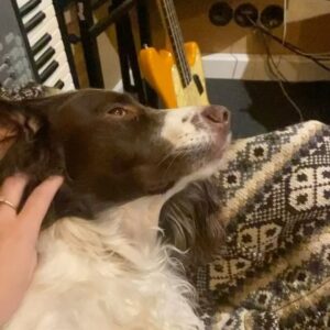 Natalie Holt Instagram - #Loki episode 2 drop. I had so much fun doing some 70’s Loki. Shout out to (Oscar winning!) @antmundo on guitars, bass and the joy of being in the presence of his dog Budget at @urchinstudios studio with @danurchin on the desk.