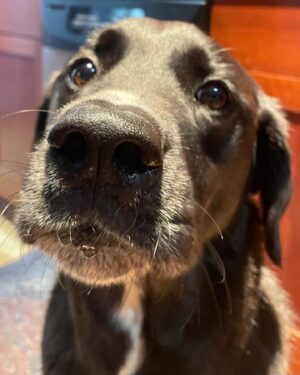 Natasha Bertrand Instagram - What a week! Thank you team CNN Vilnius for making amazing TV and to NATO for inviting me to moderate a panel at the Public Forum. Now, it’s back to my baby boy for now 🐶 🩷