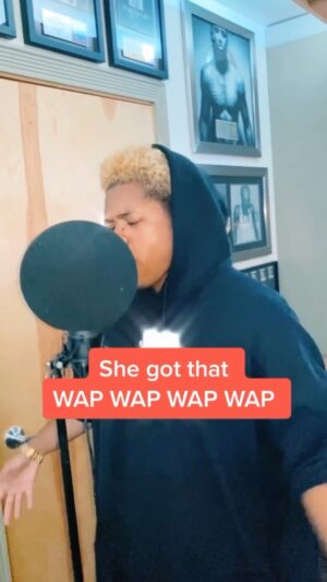 Nathan Davis Jr. Instagram - WAP Remix🥵 Would y’all want this collab? 😈 @iamcardib @theestallion