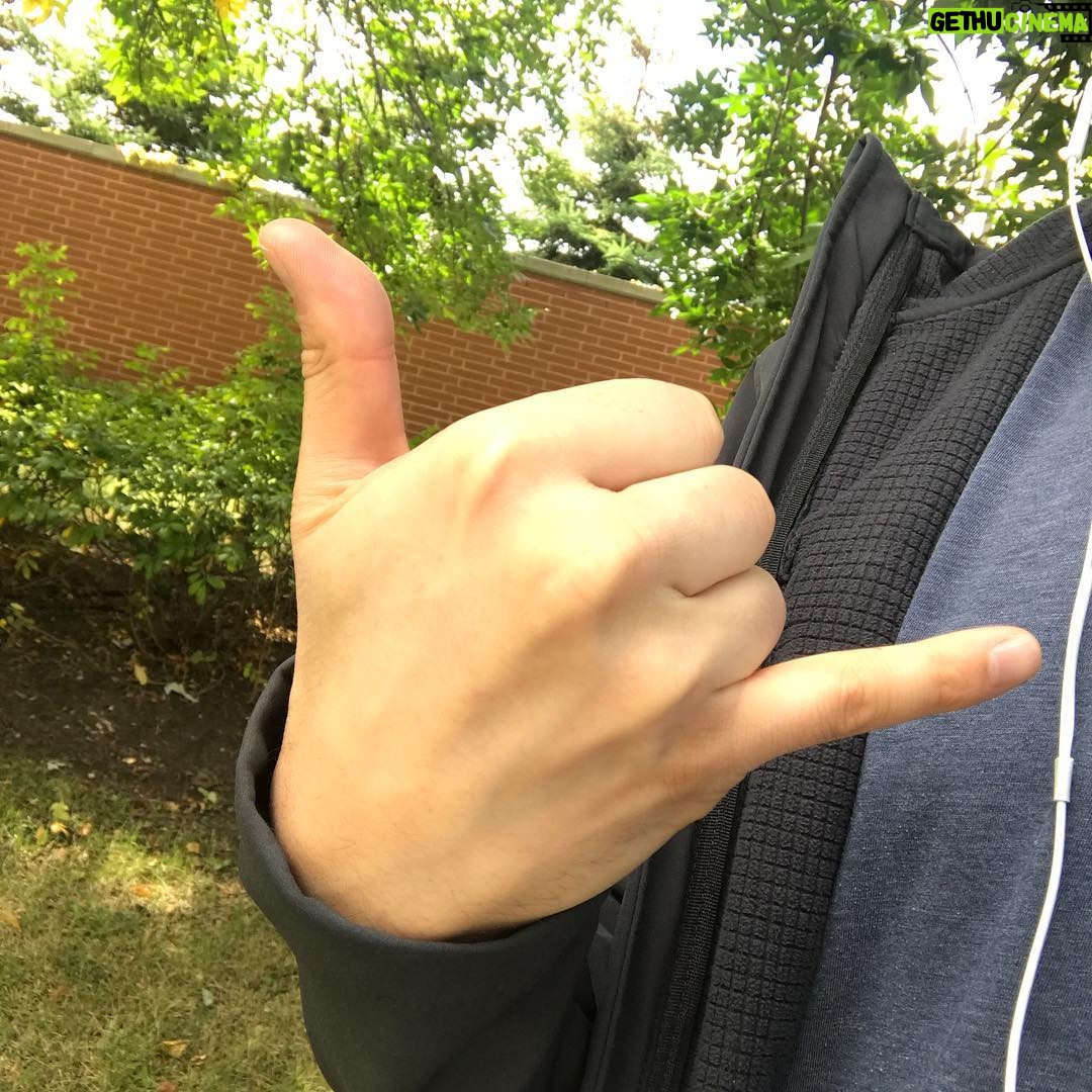Nathan Fielder - 31.6K Likes - Not this (hang loose)