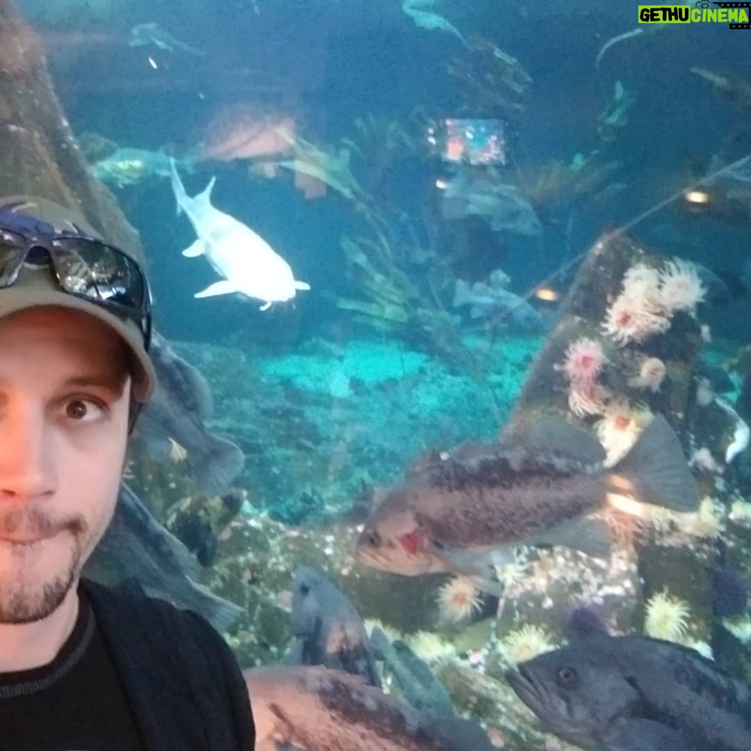 Nathan Parsons - 12.7K Likes - Loved the @vanaqua
Clearly I'm in too deep and this sturgeon is coming to get me...