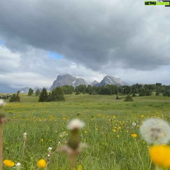 Nathas Tunjaroen - 6.3K Likes - 👔⛰️