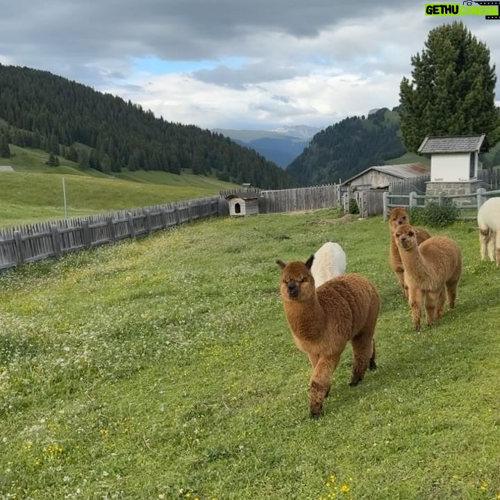 Nathas Tunjaroen - 6.3K Likes - 👔⛰️
