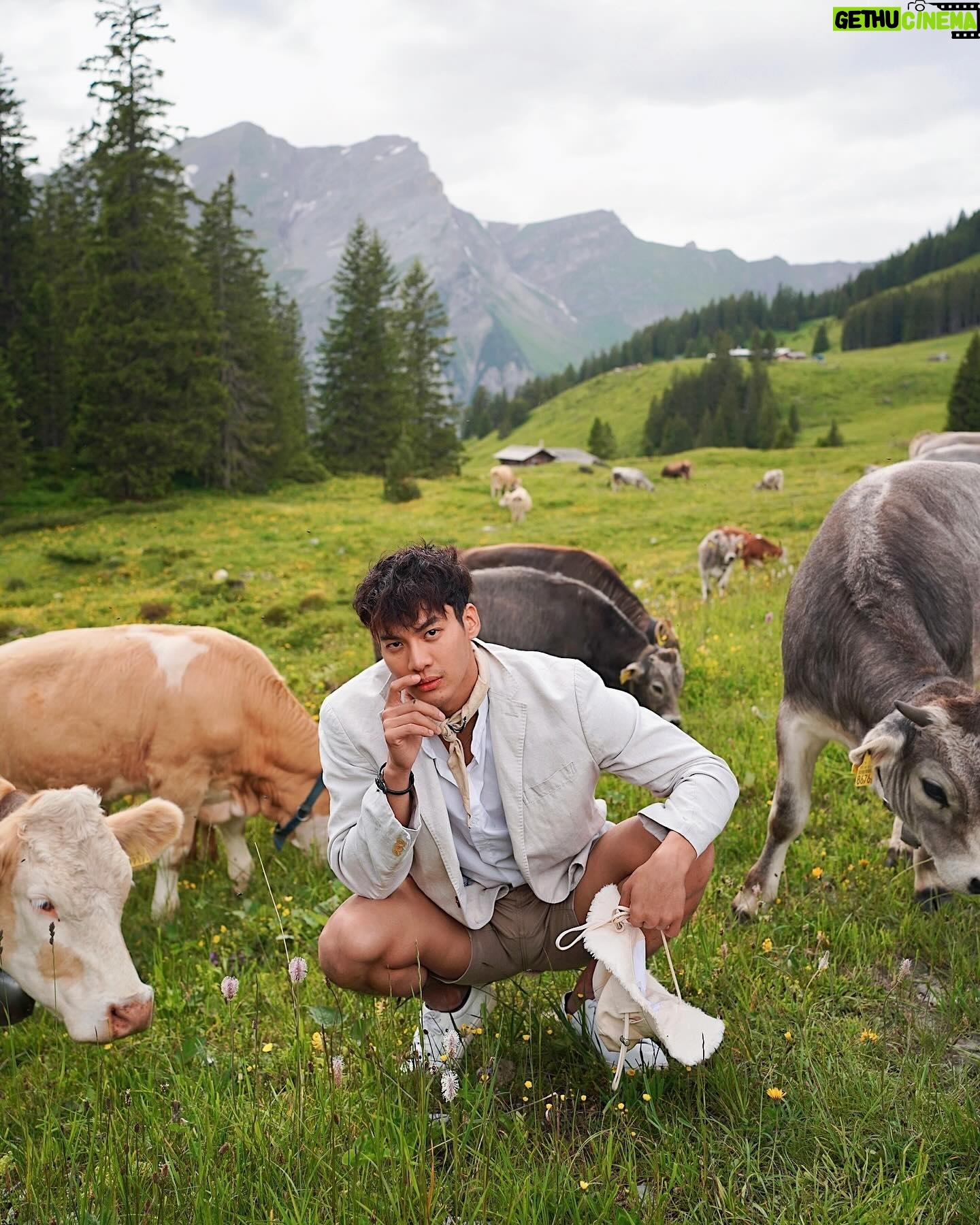 Nathas Tunjaroen - 6.8K Likes - Moo 🐮🐄🇨🇭