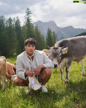 Nathas Tunjaroen Instagram - Moo 🐮🐄🇨🇭
