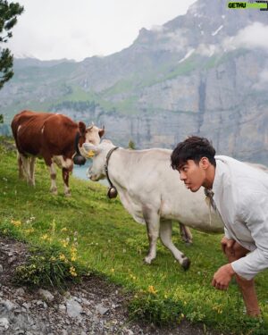 Nathas Tunjaroen Instagram - Moo 🐮🐄🇨🇭