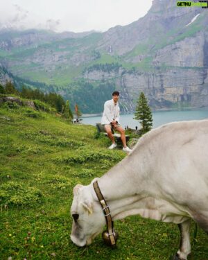 Nathas Tunjaroen Instagram - Moo 🐮🐄🇨🇭