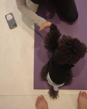 Natsumi Fujiwara Instagram - .
My YOGA LIFE 🧘‍♀️
.
冬からコツコツ。
パーソナルでYOGAに通って、1から見直し中。
.
すっごく楽しいです！😁🔥
.
.
#yoga #onthematoffthemat
