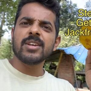 Naveen Richard Instagram - Aravind’s Ayurveda Tips and tricks for quick relief from neck pain and other body parts also!
.
Tag someone who needs a jackfruit massage. And tag someone who has jackfruit tree also just in case.