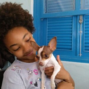 Nayobe Nzainab Instagram - Uma AUtriz passando na sua timeline pra dizer que ela tá AUrrasando na @netflixbrasil #MODOAVIÃO 😚💕🐕 📺 Já AUssistiu? Corre lá 😜 a Minnie AUrrasa muitão!
.
.
.
.
.
.
.
.
.
.
.
.
.
.
.
.
.
.
.
.
#me #nayobe #minnie #feliz #muitoamor #longa #netflix #filme #netflixbrasil #modoavião #larissamanoela #netflixoriginal #filmesnetflix #netflixmovies #audiovisual #atrizmirim #julia #happy #dogs #dogslovers #love #luz #câmera #diversão #obrigadaDeus