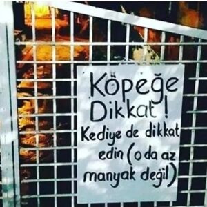Nazlı Ceren Argon Instagram - Iste yeni olasi tabelam :))