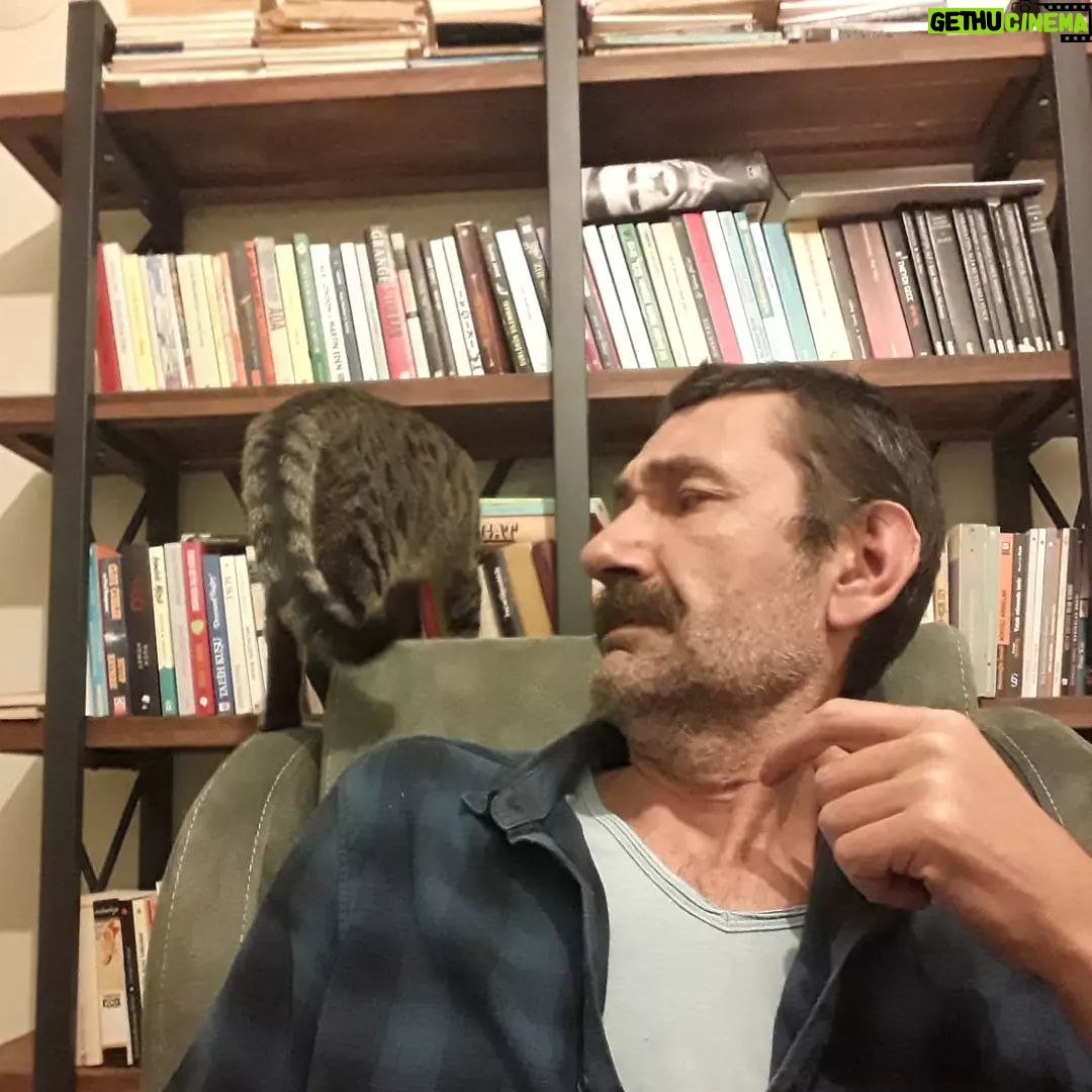 Nebil Sayın - 1.5K Likes - Lan!?!
