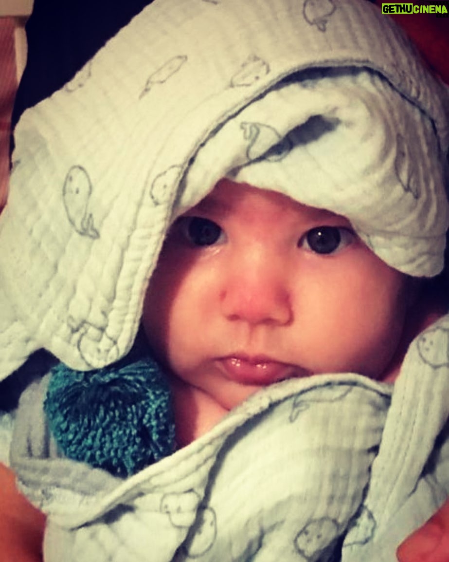 Necip Memili - 86.8K Likes - ,,,asya,,,š§æš§æš§æš§æššš
