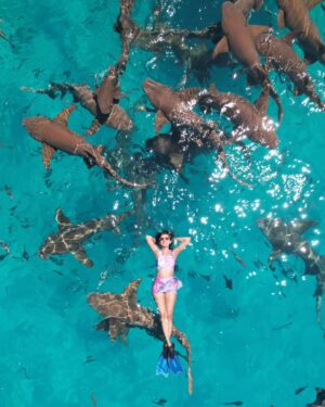 Neha Jhulka Instagram - The most adventurous thing I have ever done yet.

Still getting goosebumps looking at the video. All safe and sound.

Swimming,  smiling while being in shark infested waters ...phew...omg

Can't believe I did I. 
Extreme adventure. 
These are nurse sharks... Swimming with the Sharks 
Kept chanting mantras n smiling while looking at the drone ...crazy na... the divers were super trained and cautious. 
Something I really wanted to do.
One experience 
Memory for life.
Loved the thrill.

#shark #swimmingwithshark #sharkbay #droneshot #adventure #extremeadventures #memory #gratitude