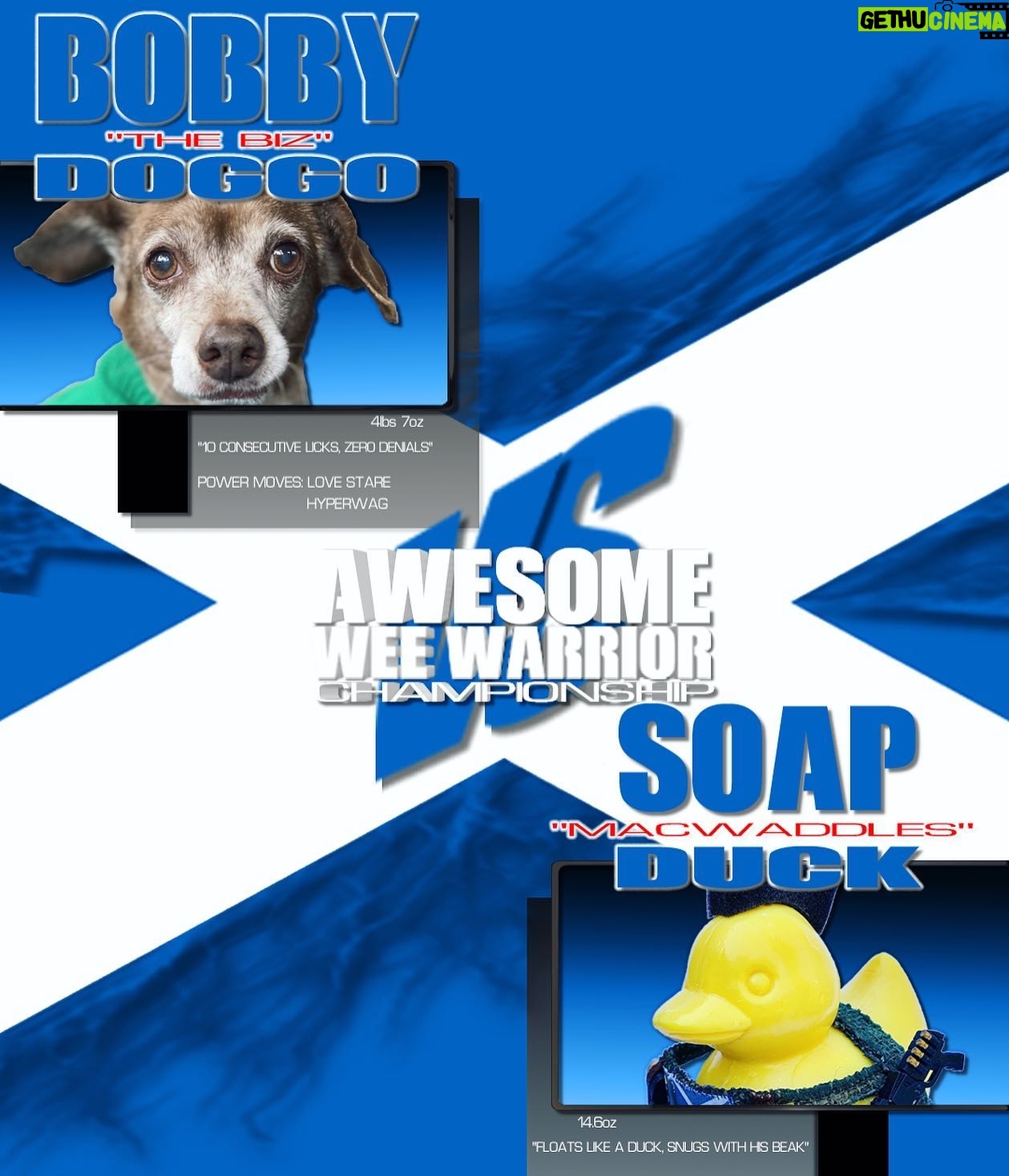 Neil Ellice - 7.7K Likes - GIVEAWAY! 👊🏼💥👊🏼
With all the attention Bobby and Soap Duck are getting, it's time for a Bobby vs. Soap Duck Cute-Off.
Who would win the A.W.W. Championship and why? Wrong Answers ONLY!
Best story wins Soap Duck.
Deadline Friday April 7th.
#neilellice #neil_ellice