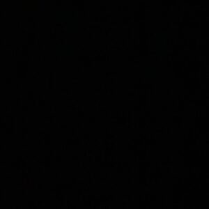 Nelufar Hedayat Instagram - Black Lives Matter⁣
#blackouttuesday ⁣
#theshowmustbepaused
