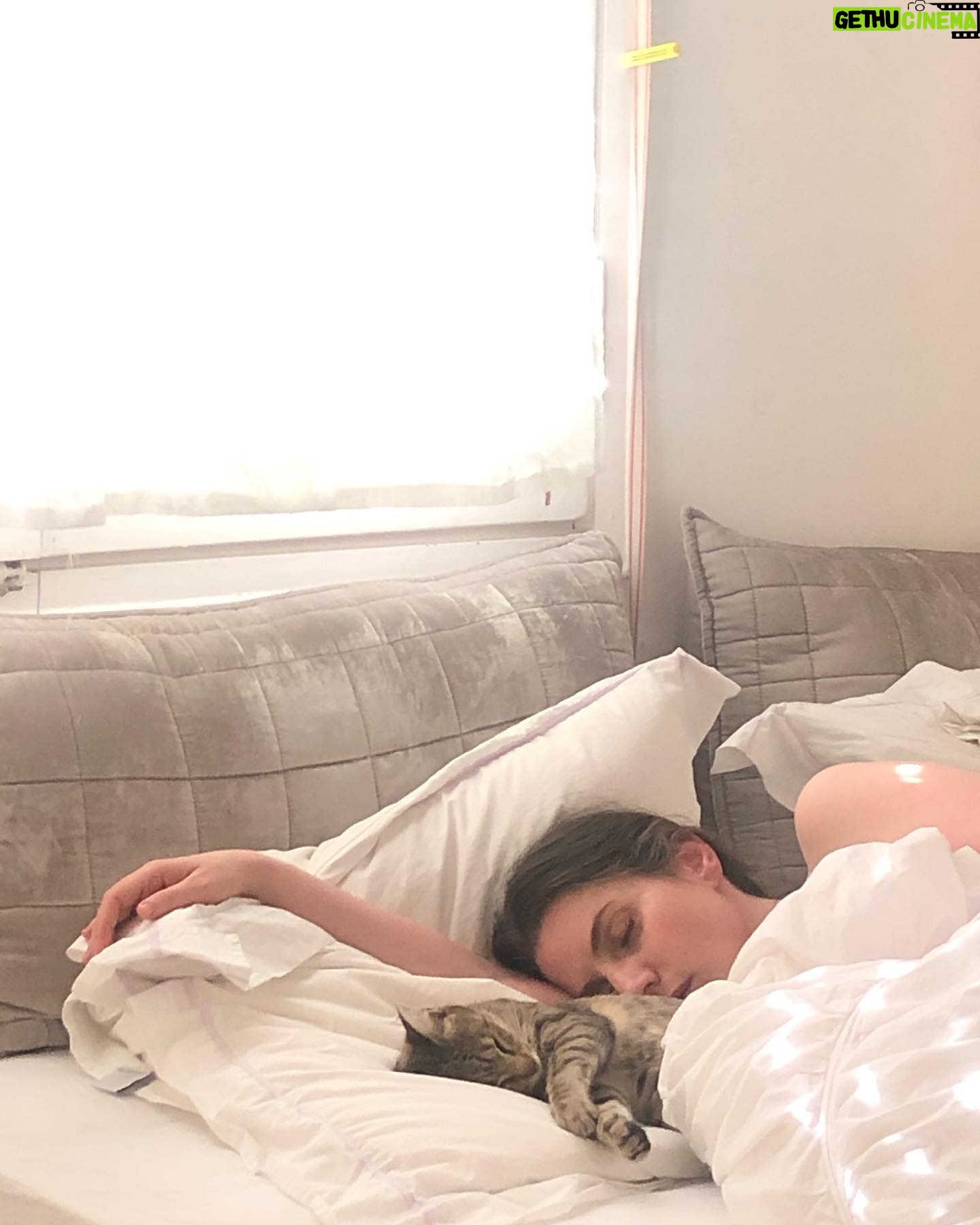 Neta Riskin - 1.3K Likes - Catnap