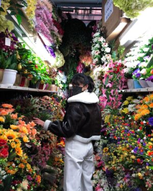 Nhung Hong Instagram - Lunar New Year Flower Shopping German Winter Edition