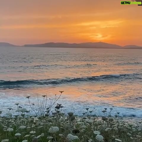 Niamh Algar - 1.9K Likes - Alghero ❤️❤️ ☀️🩴🏖️🎬, repeat! X