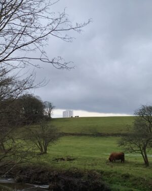 Niamh Walsh Instagram - Burrell Collection