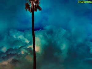 Nicholas Brendon Instagram - It’s been awhile…so sharing some art and photos to get things moving again. A couple (hundred) more on the website!

https://www.nickybrendon.com/nickys-photography
https://www.nickybrendon.com/nickys-artwork