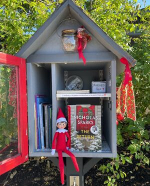 Nicholas Sparks Instagram - This made me smile. Wishing everyone a very #MerryChristmas and #HappyHolidays!! ⛄🎁🎄

📷: @littlefreelibraryxo 

#TheReturn #ElfOnTheShelf