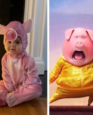 Nick Kroll Instagram - These costumes are incredible. Thanks for another great Halloween, y’all never disappoint!!