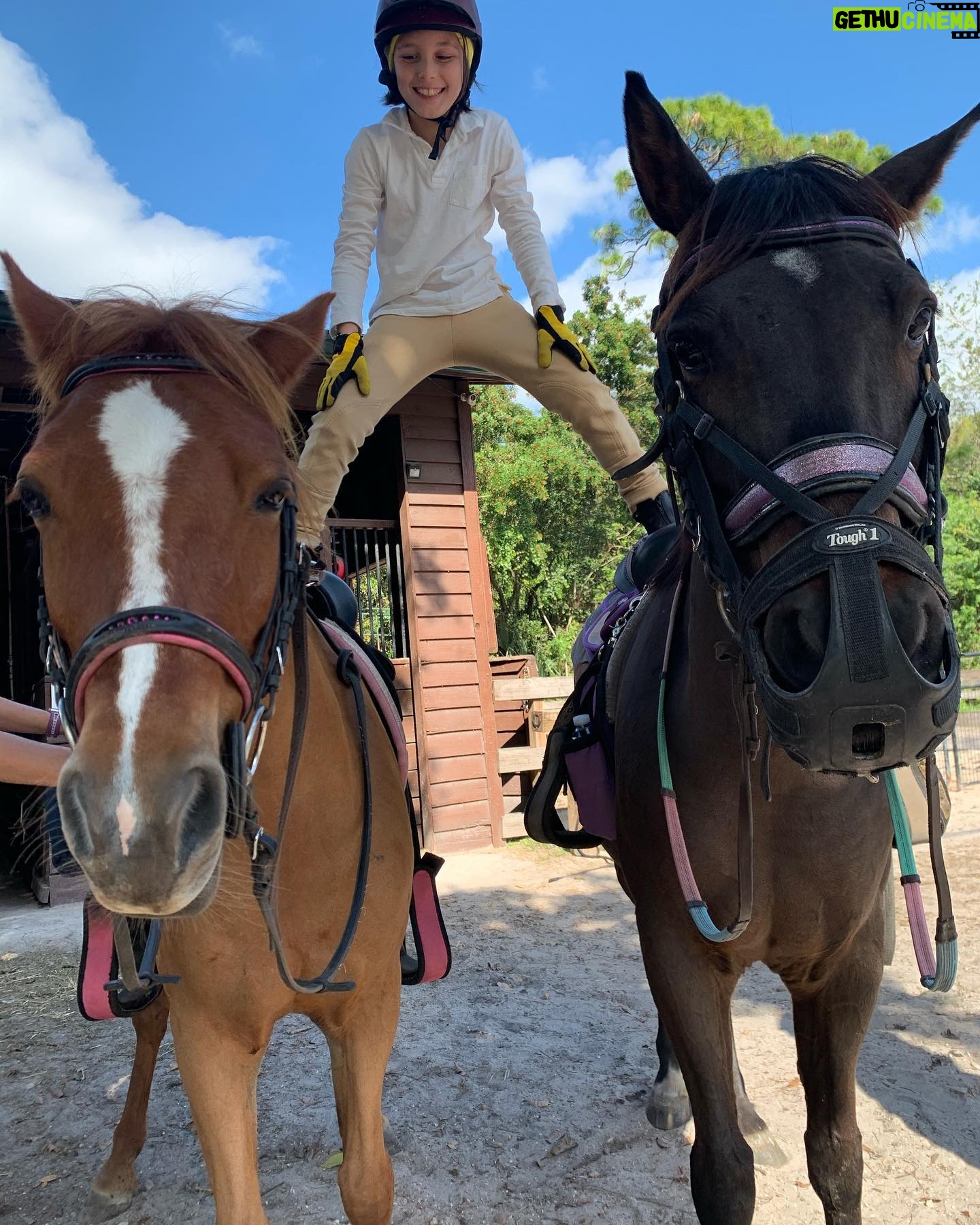 Nick Sandow - 3.7K Likes - Thankyou Alicia! The Best riding experience. @altaboobearsmommy @pinkflamingostableslakeworth