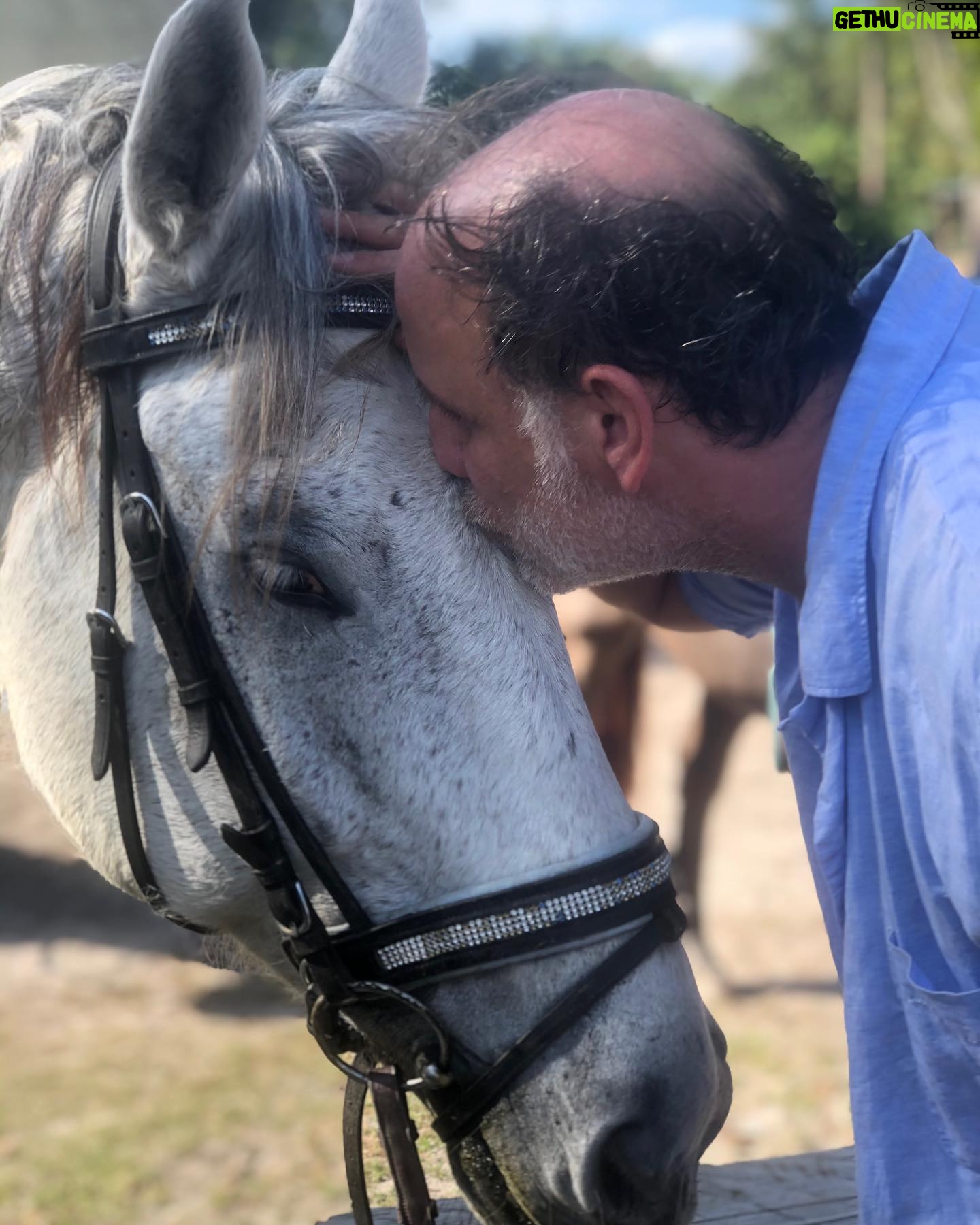 Nick Sandow - 3.7K Likes - Thankyou Alicia! The Best riding experience. @altaboobearsmommy @pinkflamingostableslakeworth