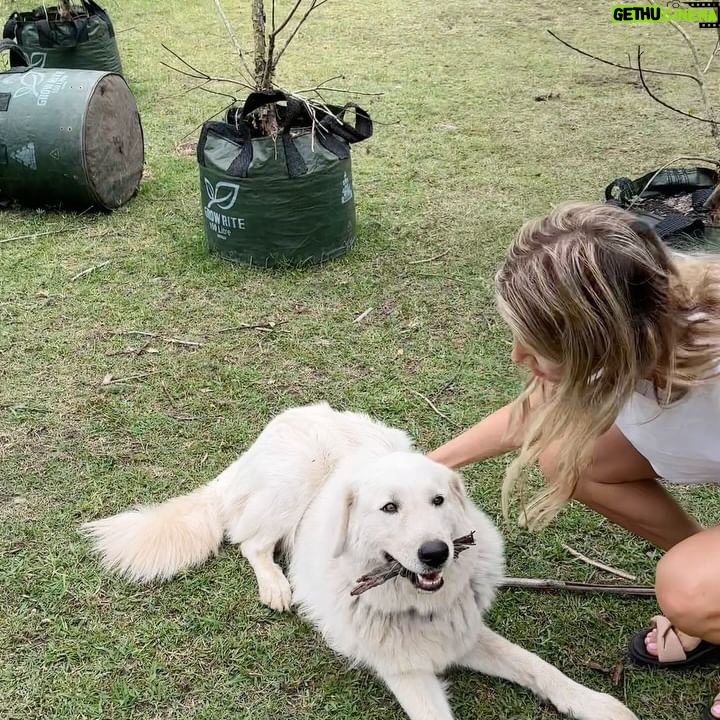 Nick Slater - 2.3K Likes - On the weekend, we escaped the city to camp in the back paddock of a poultry farm 🐓
Before we arrived, the owner warned us about the livestock guardian dog. Swipe to meet Riley. She was a big softy, knocked-off early and became our guardian instead.
A short and sweet breath of country air.