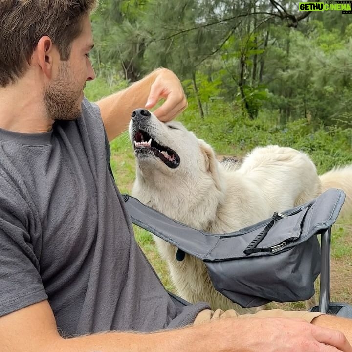 Nick Slater - 2.3K Likes - On the weekend, we escaped the city to camp in the back paddock of a poultry farm 🐓
Before we arrived, the owner warned us about the livestock guardian dog. Swipe to meet Riley. She was a big softy, knocked-off early and became our guardian instead.
A short and sweet breath of country air.