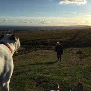 Nico Mirallegro Instagram - Tara mojo and lil piggies loving life on there favourite hill