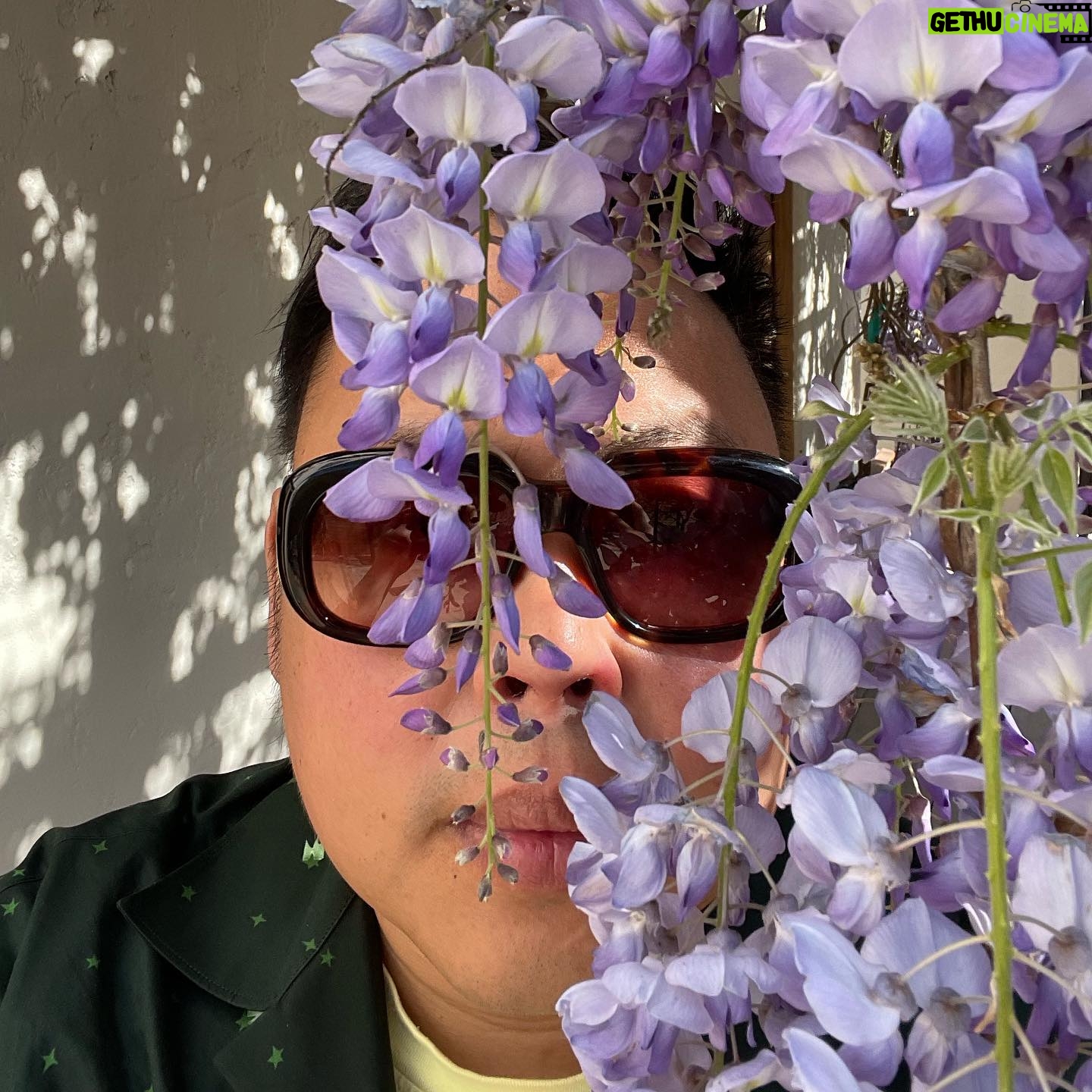 Nico Santos - 7.9K Likes - She 44 now…life moves quick so like the saying goes make sure you stop and smell the flowering vine in your backyard but also take Zyrtec coz yo ass hella allergic and also don’t get stung by bees coz you don’t wanna get My Girl’d like Macaulay Culkin.