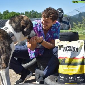 Nicolás Coronado Instagram - La mejor acción que puedes hacer hoy .
Se merecen una oportunidad🙏🏻🐱🐶
Hace unos días visité las instalaciones del @salvandopeludos_elcampito y pude conocer a algunos de los perros y gatos que viven allí y buscan un hogar donde ser felices.
También tuve el honor de hacer entrega de una gran cantidad de pienso cedido por mis amigos de @acana_es, ¡una ayuda enorme para ellos! Porque son cientos de bocas las que alimentar cada día 💔

La inocencia de estos animales no deja de sorprenderme y cautivarme cada día, por eso me encoje el corazón viendo cuántos de ellos necesitan nuestra ayuda🙏🏻

Puedas ayudar mucho o poco , elegir ayudar en lugar de no hacerlo , te hará más grande y mejor .
#acana #salvandopeludos_elcampito #ad
