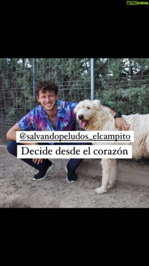 Nicolás Coronado Instagram - @salvandopeludos_elcampito mi protectora de confianza .

son muchas las decisiones que tomamos a lo largo del día y el año, algunas malas decisiones, otras un poco egoístas, pero unas pocas son decisiones que traen más amor al mundo, te abro la puerta para que hoy siembres amor , te aseguro que la cosecha será amor multiplicado e incondicional esperándote cada día en tu casa.

Te animo adoptar, y compartir por aquí, tu historia, y animar a las buenas personas, para que abran un huequito en su casa y en su corazón♥️ hay que luchar, por lo que vale la pena luchar.
#salvandopeludos #adoptapeludos