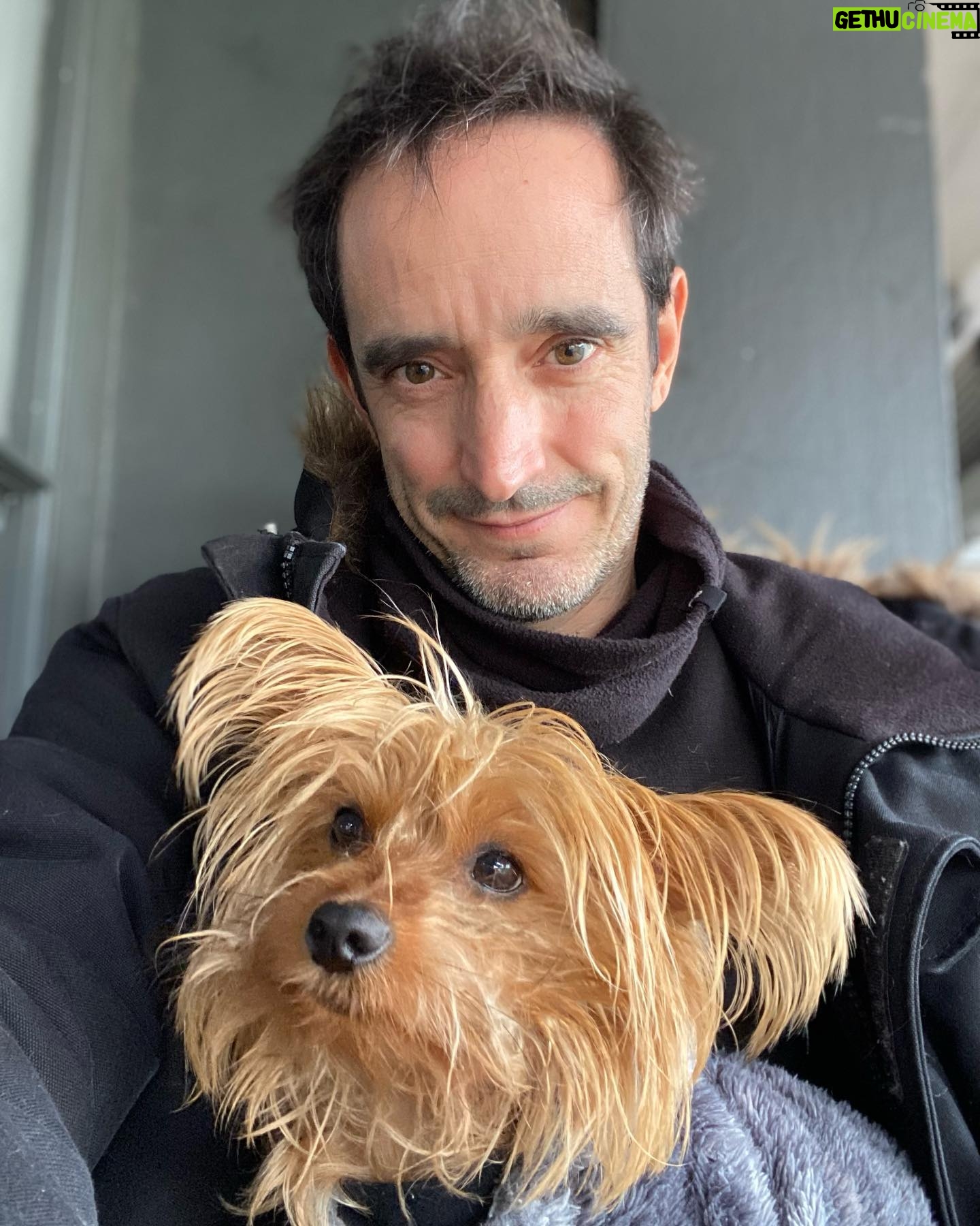Nicolás Saavedra - 2.1K Likes - Después de un mes intenso de recuperación esta semana volvimos a pasear por el barrio!
#Gala #Felicidad
#Vidadeperros
#Domingo