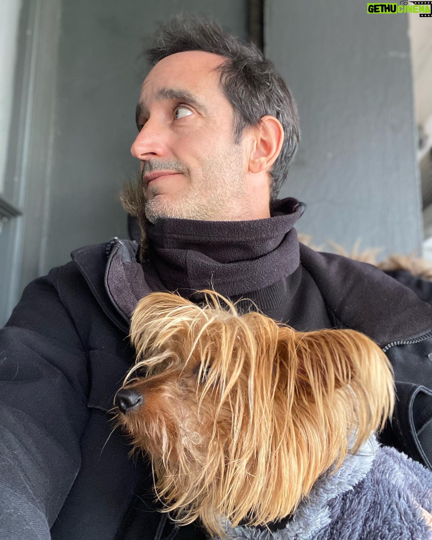 Nicolás Saavedra - 2.1K Likes - Después de un mes intenso de recuperación esta semana volvimos a pasear por el barrio!
#Gala #Felicidad
#Vidadeperros
#Domingo