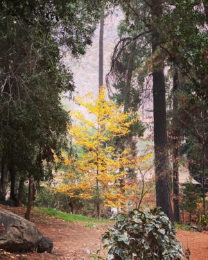Nicolás Saavedra Instagram - Paseo ⛰️ 🍂 

#Pasear #Familia #Domingo #Díadelpapá #CajóndelMaipo