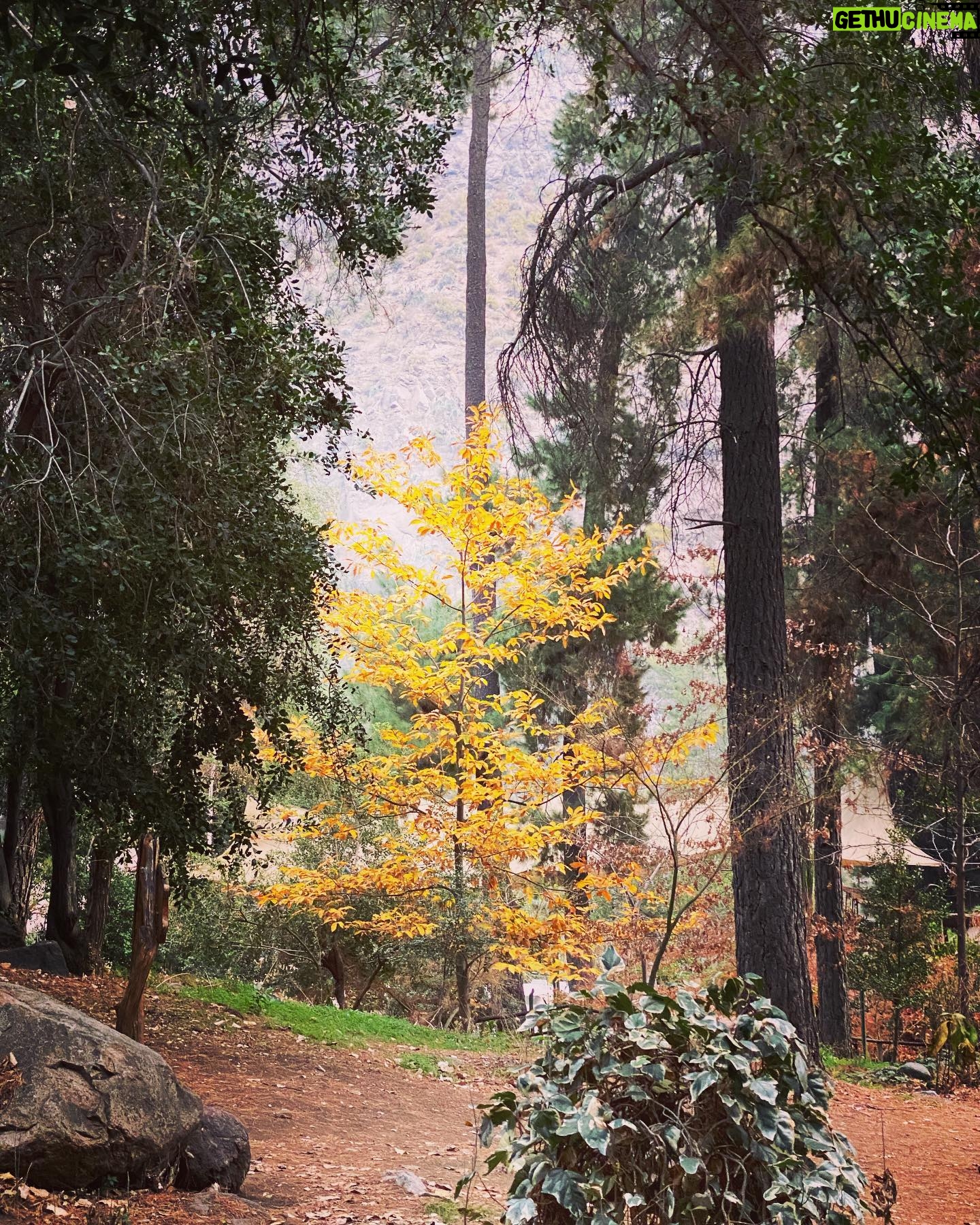 Nicolás Saavedra - 7.1K Likes - Paseo ⛰️ 🍂
#Pasear #Familia #Domingo #Díadelpapá #CajóndelMaipo