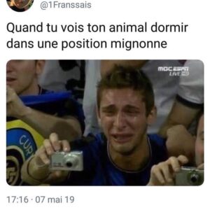 Nicolas Scandale Instagram - @marine_zielkowski 😂😂😂