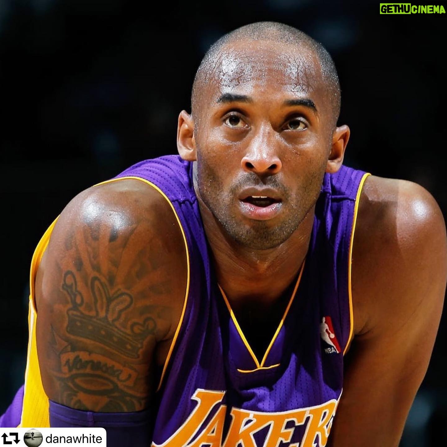 Nicolas Scandale - 1.7K Likes - Rip Kobe Bryant š°š°š°ššš