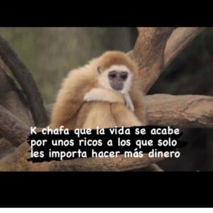 Nicolasa Ortíz Monasterio Instagram - Me pareció muy lindo este meme. Me encantaría imprimirlo y enmarcarlo para la casa que no tengo :). Les mando mucho ánimo y bendiciones. @mexicoissocheap