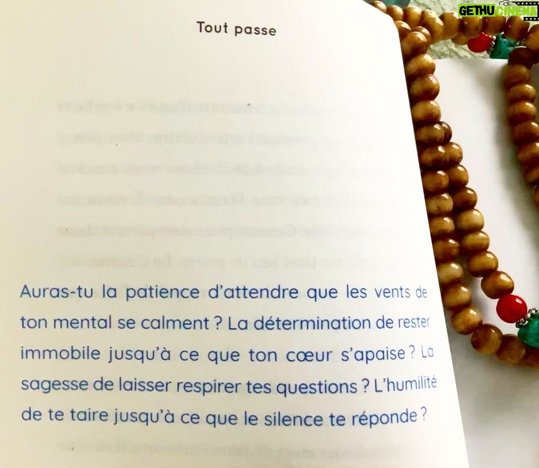 Nicole Bordeleau - 831 Likes - Face Ć lāincertitude ā¦
Auras-tu la patience dāattendre que les vents de ton mental se calment ?
La dĆ©termination de rester immobile jusquāĆ ce que ton coeur sāapaise ?
La sagesse de laisser respirer tes questions ?
LāhumilitĆ© de te taire jusquāĆ ce que le silence te rĆ©ponde ?
( Extrait de Ā« Tout Passe Ā» @editionsedito )
#toutpasse #calme #sagesse #respire #patience #dƩtermination #vision #courage #confiance