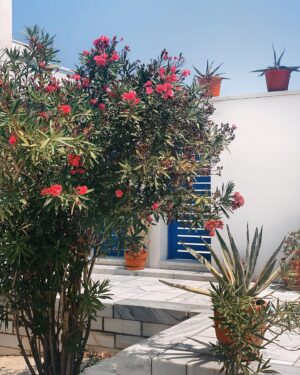 Nicolò Ferrari Instagram - Greece spots #Vacations 🇬🇷