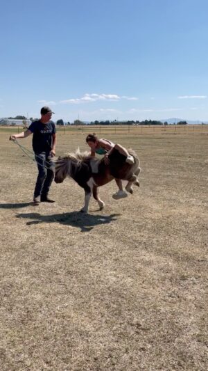 Nidal Ajib Instagram - Nidal got kicked off the horse 😂🐴
.
.
#fail #viral #reel #comedy #talent #shorts