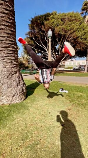 Nidal Ajib Instagram - Fun tree combo 😂🌴.. 
🎥 @jamelwonder 
.
#flips #tricking #palmtree #losangeles #talent