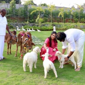 Nikhil Kumar Instagram - ನಿಮಗೂ, ನಿಮ್ಮ ಕುಟುಂಬಕ್ಕೂ ಮಕರ ಸಂಕ್ರಾಂತಿ ಹಬ್ಬದ ಶುಭಾಶಯಗಳು. 

ಸೂರ್ಯನ ಪಥ ಬದಲಾಗುವ ವರ್ಷದ ಮೊದಲ ಹಬ್ಬ ಎಲ್ಲರ ಬದುಕಿನಲ್ಲಿ ಸುಖ, ಶಾಂತಿ, ನೆಮ್ಮದಿಯನ್ನು ಹೊತ್ತು ತರಲಿ, ಮನೆ ಮನಗಳಲ್ಲಿ ಸಂಭ್ರಮ ನೆಲೆಸಲಿ ಎಂದು ಹಾರೈಸುತ್ತೇನೆ. Happy Makarasankranthi everyone!!🤗