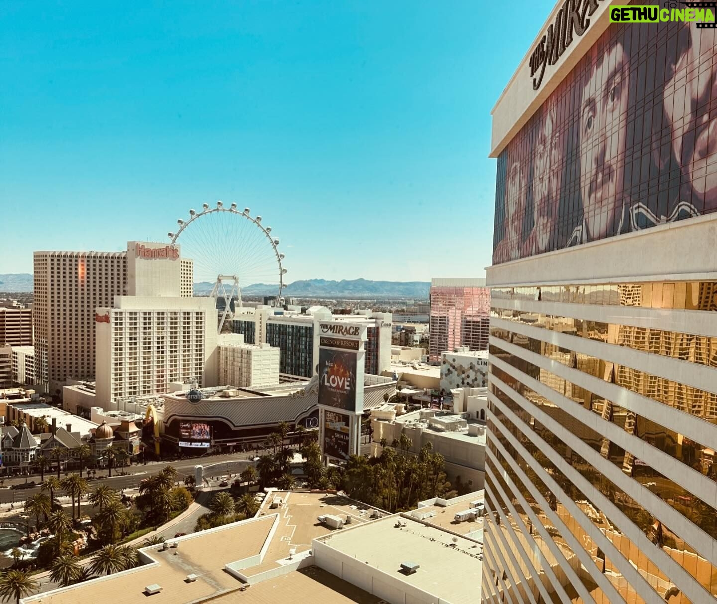 Nikita Ramsey - 1K Likes - vegas. we laughed a lot (@jimjefferies ) we ate (a giant amazing 🦆) and sprocket strolled the strip. great weekend!!! ❤️🎰