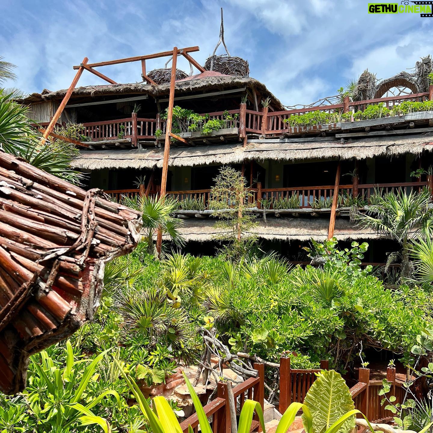 Nikita Ramsey - 229 Likes - back home from a week of beach hopping & eating our way through mexico … first stop tulum.